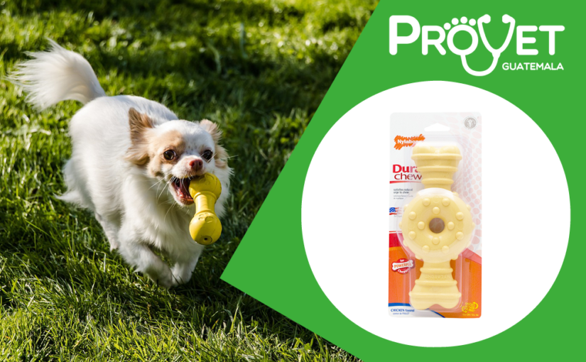 Nylabone Dura Chew Ring Bone