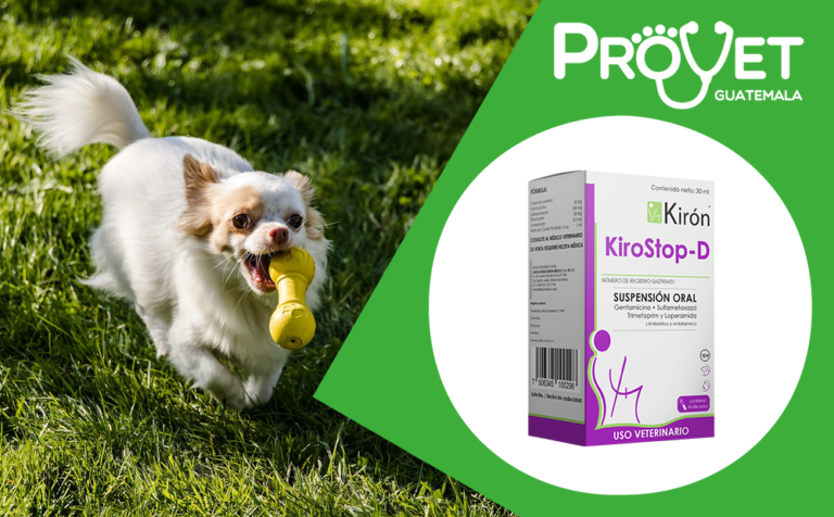 Pro Vet Intestinal KiroStop-D – PROVET